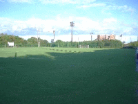 �H�Ì���